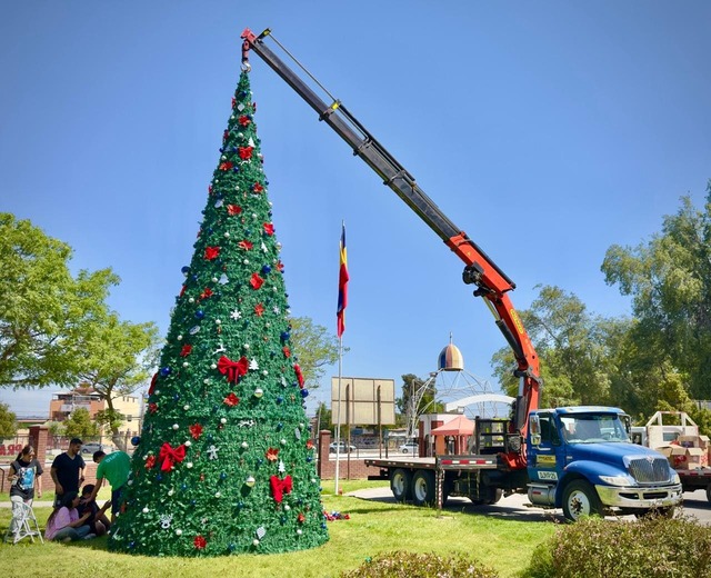 arriendo arbol navidad gigante
